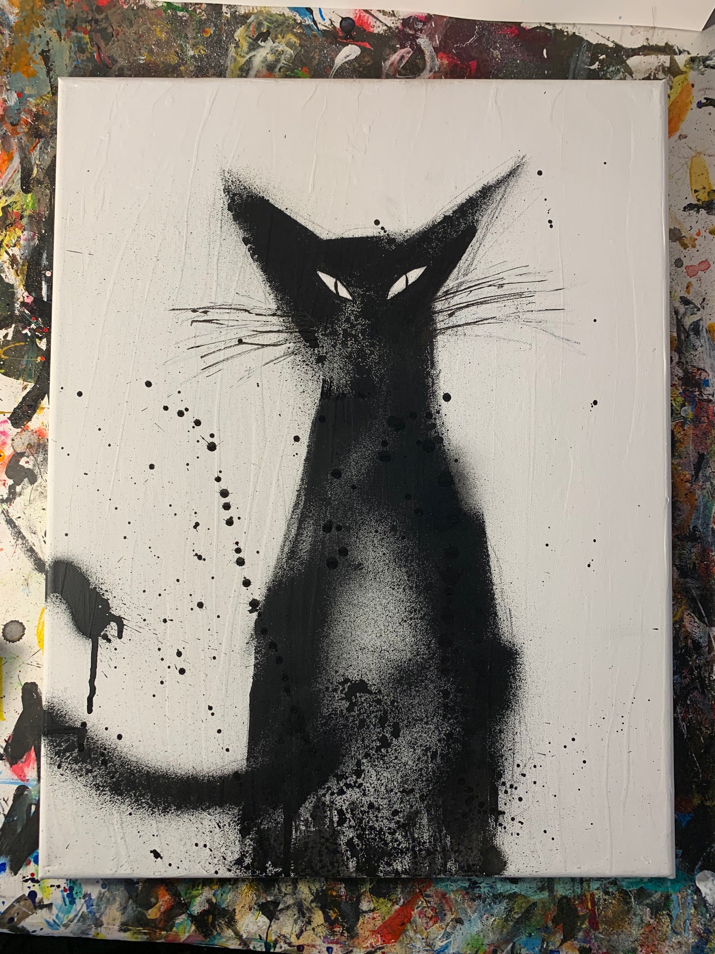 BLACK CAT 14X18