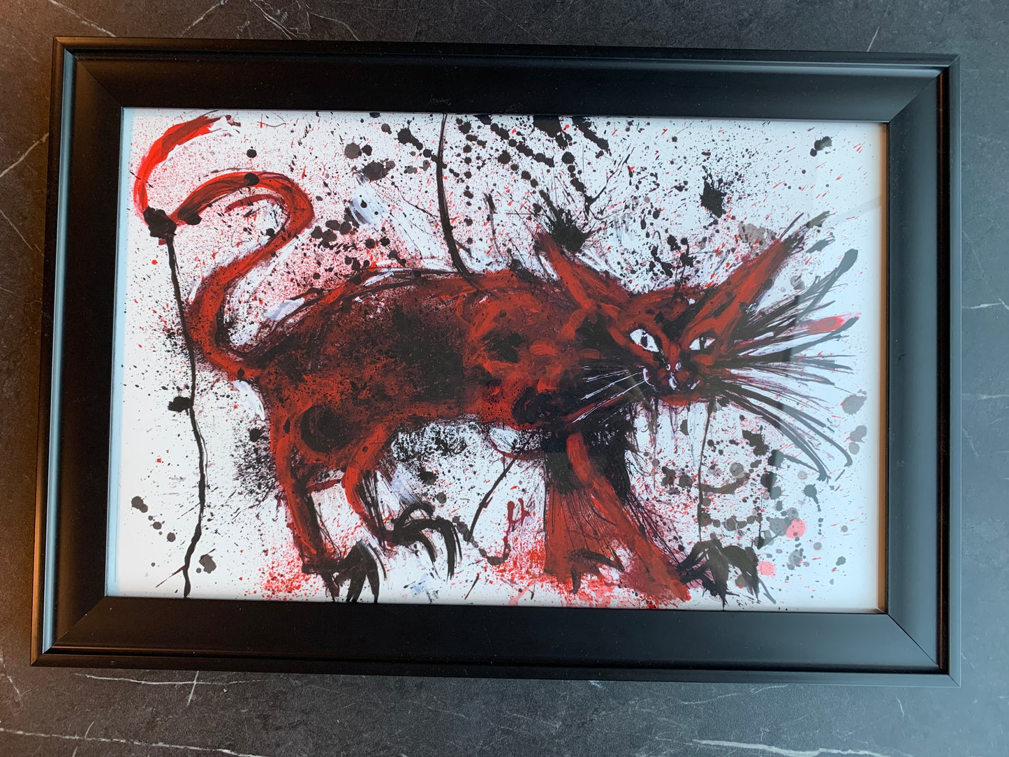 Red Cat, 17X11 Matte Art Print