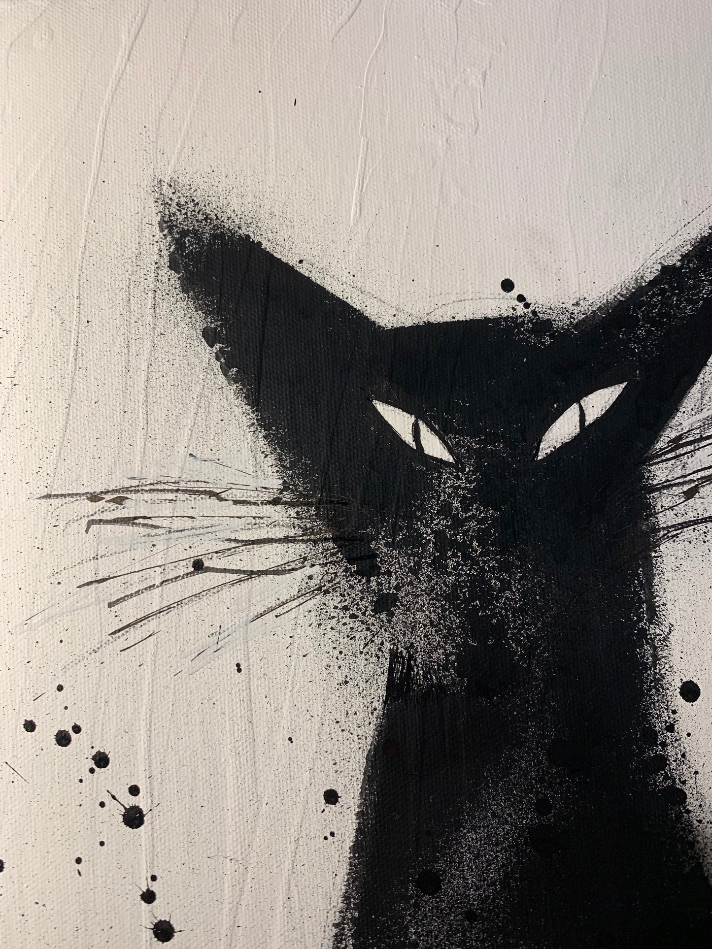 BLACK CAT 14X18