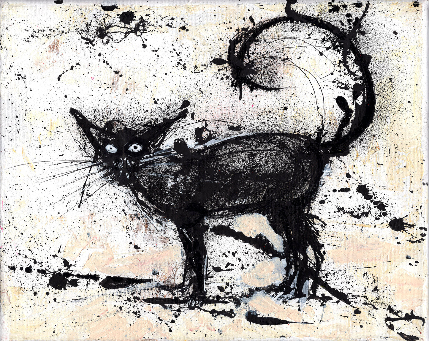 Cat Collection Pack