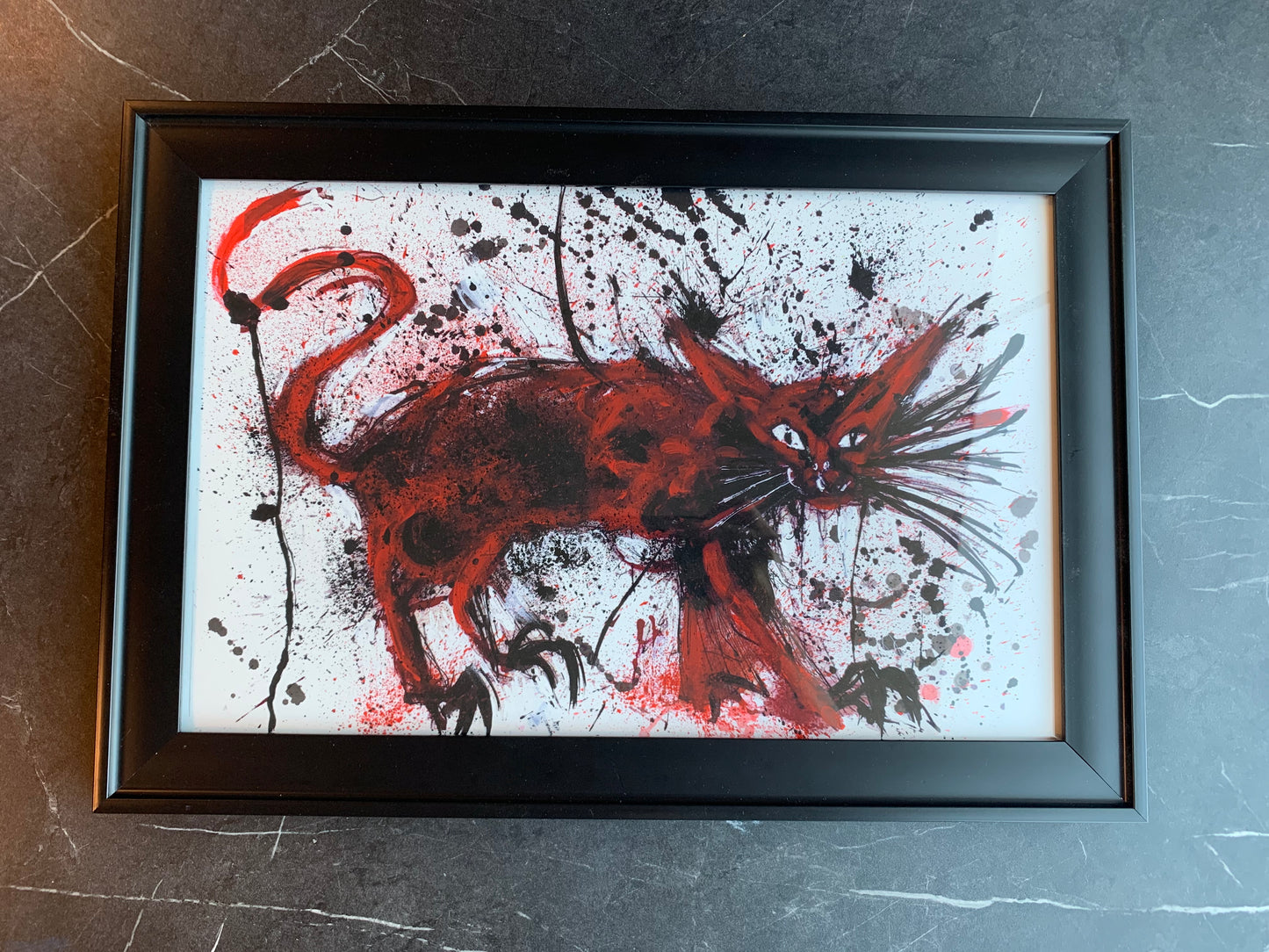 Red Cat, 17X11 Matte Art Print