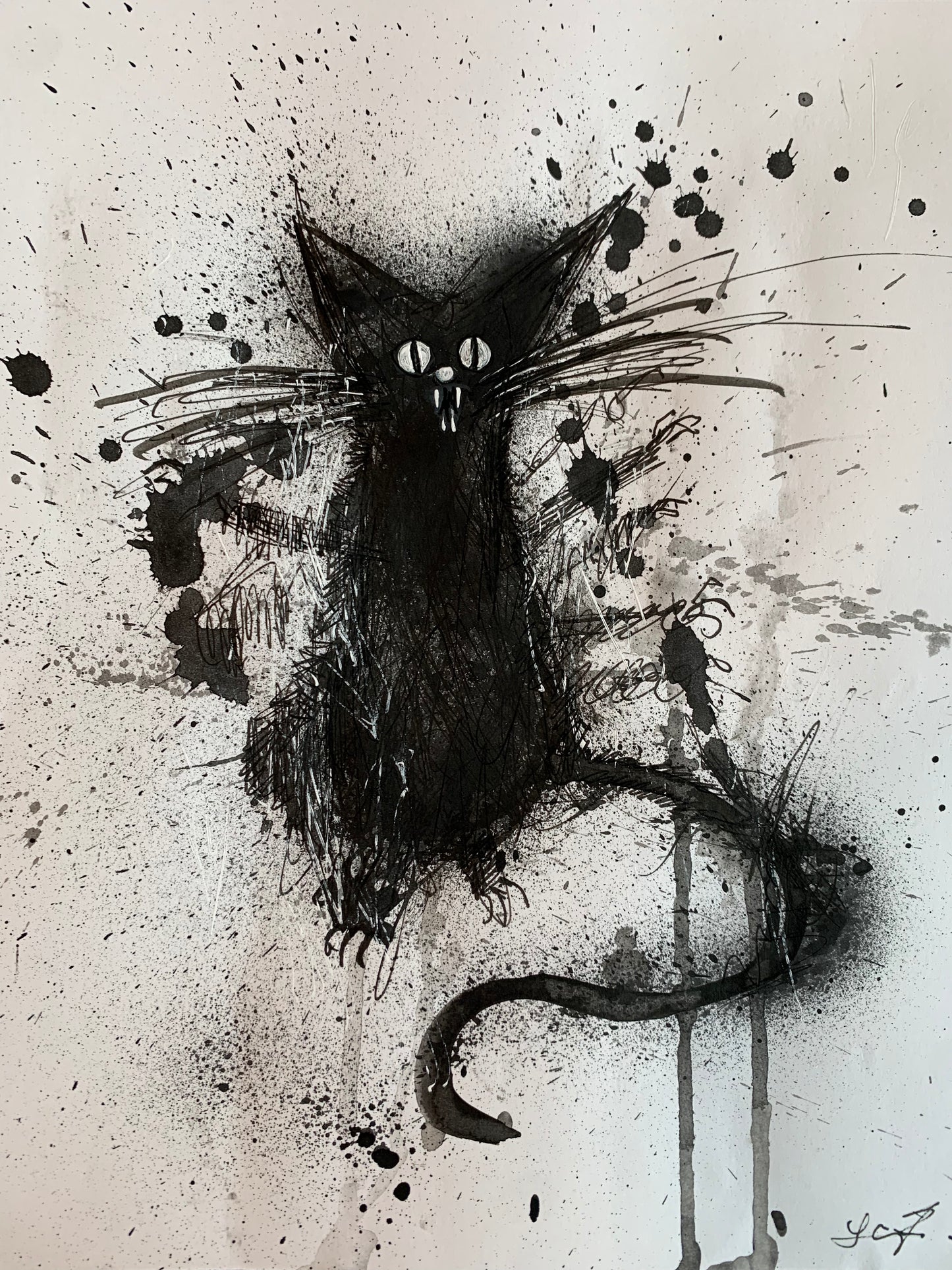 BLACK CAT drawings