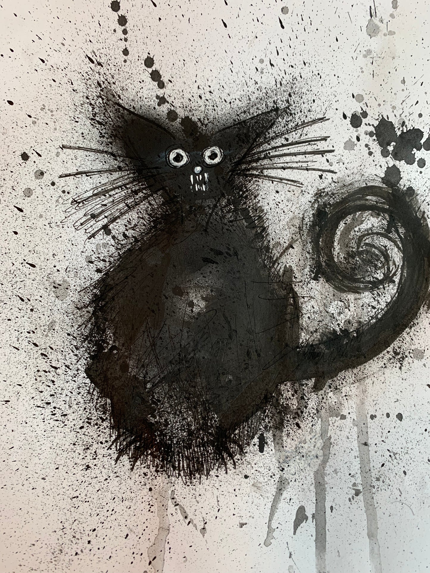 BLACK CAT drawings