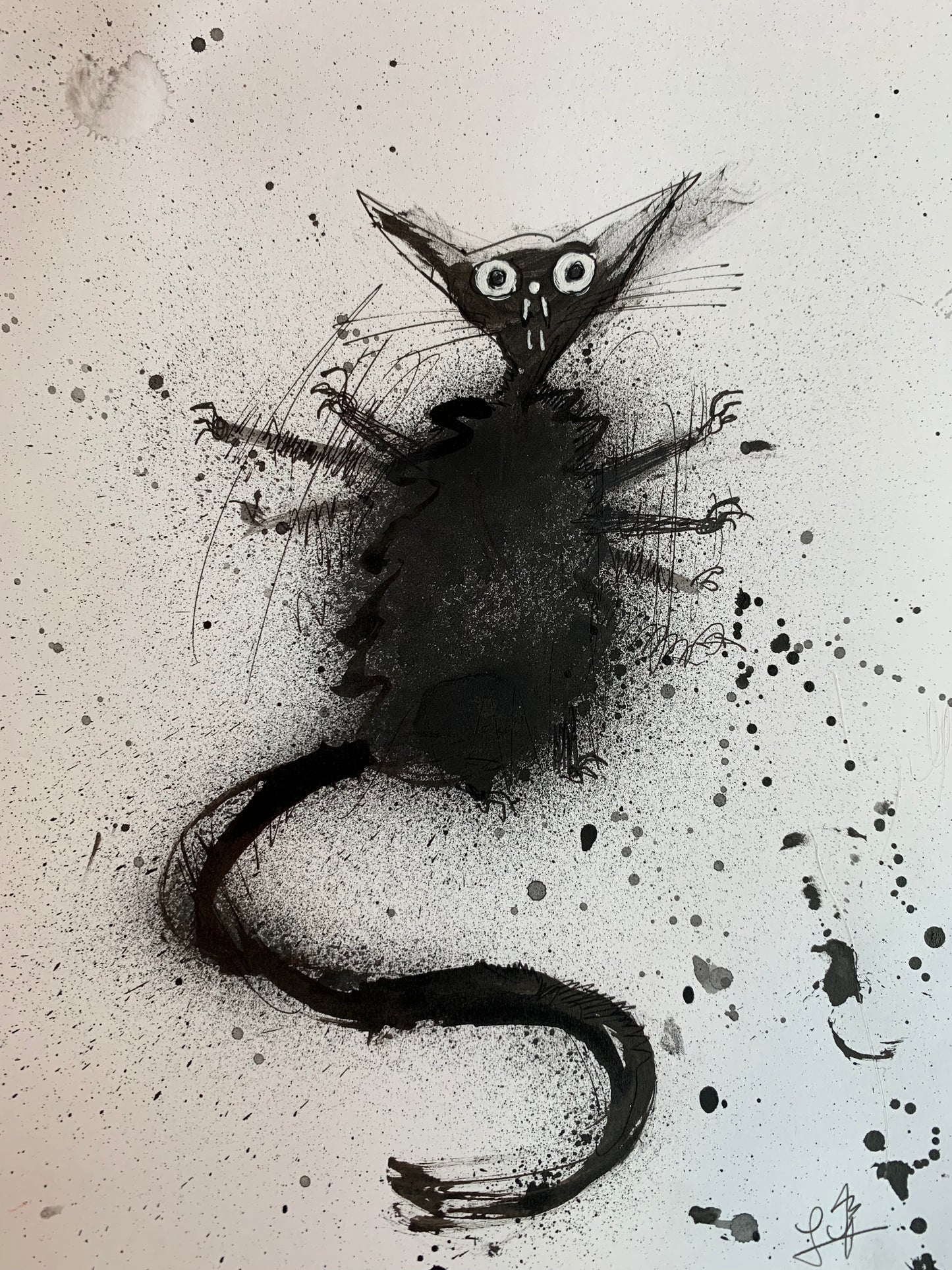 BLACK CAT drawings