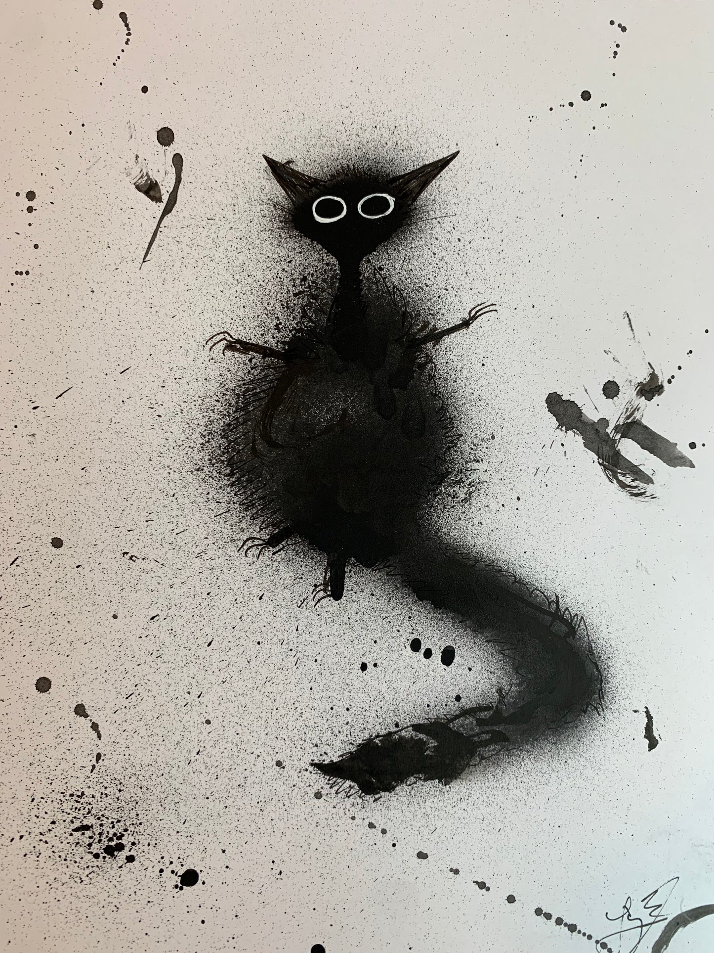 BLACK CAT drawings