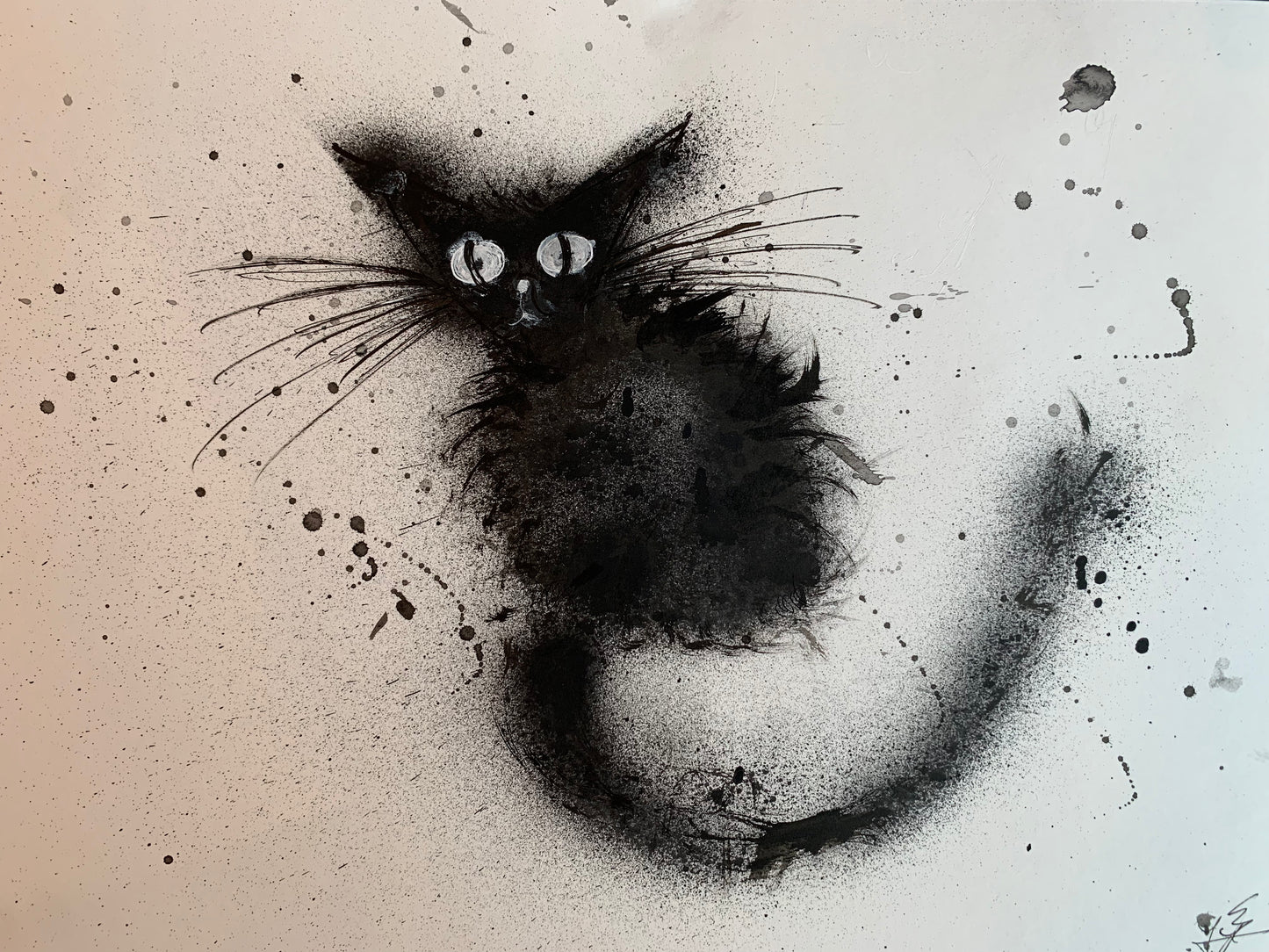 Shy Cat 16.5" x 11.7"