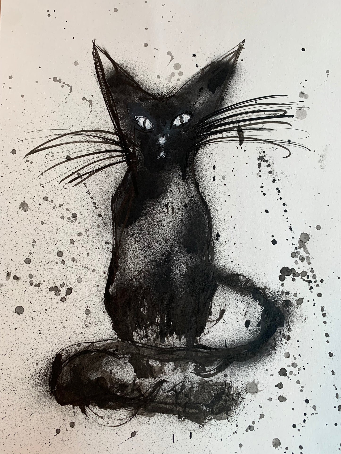 BLACK CAT 11.7" x 16.5"