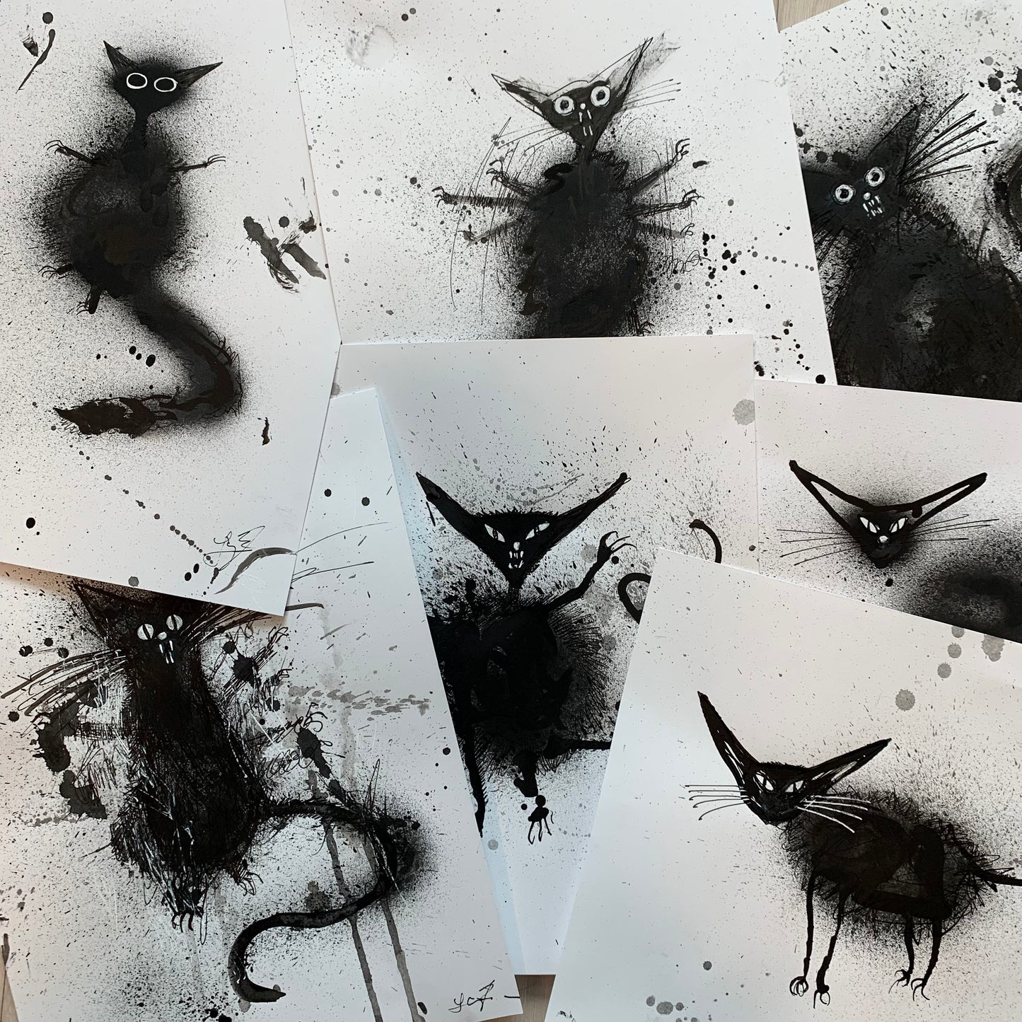 BLACK CAT drawings