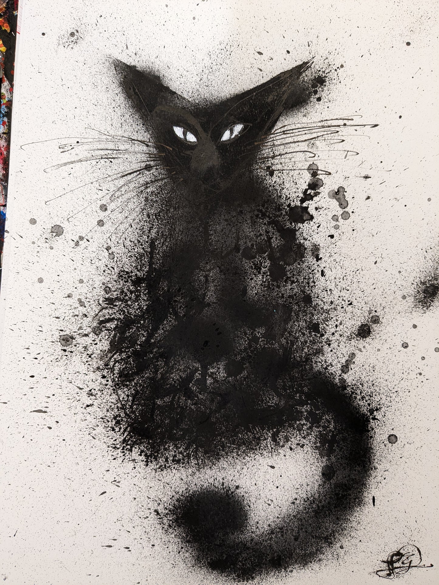 BLACK CAT 11.7" x 16.5"
