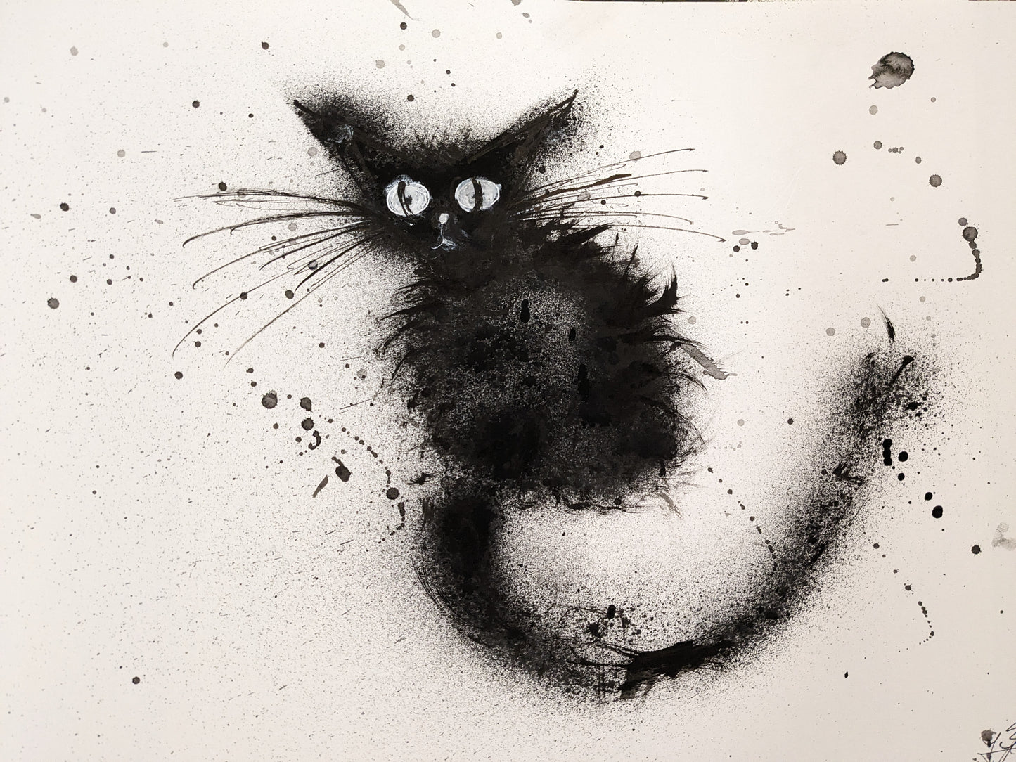 Shy Cat 16.5" x 11.7"