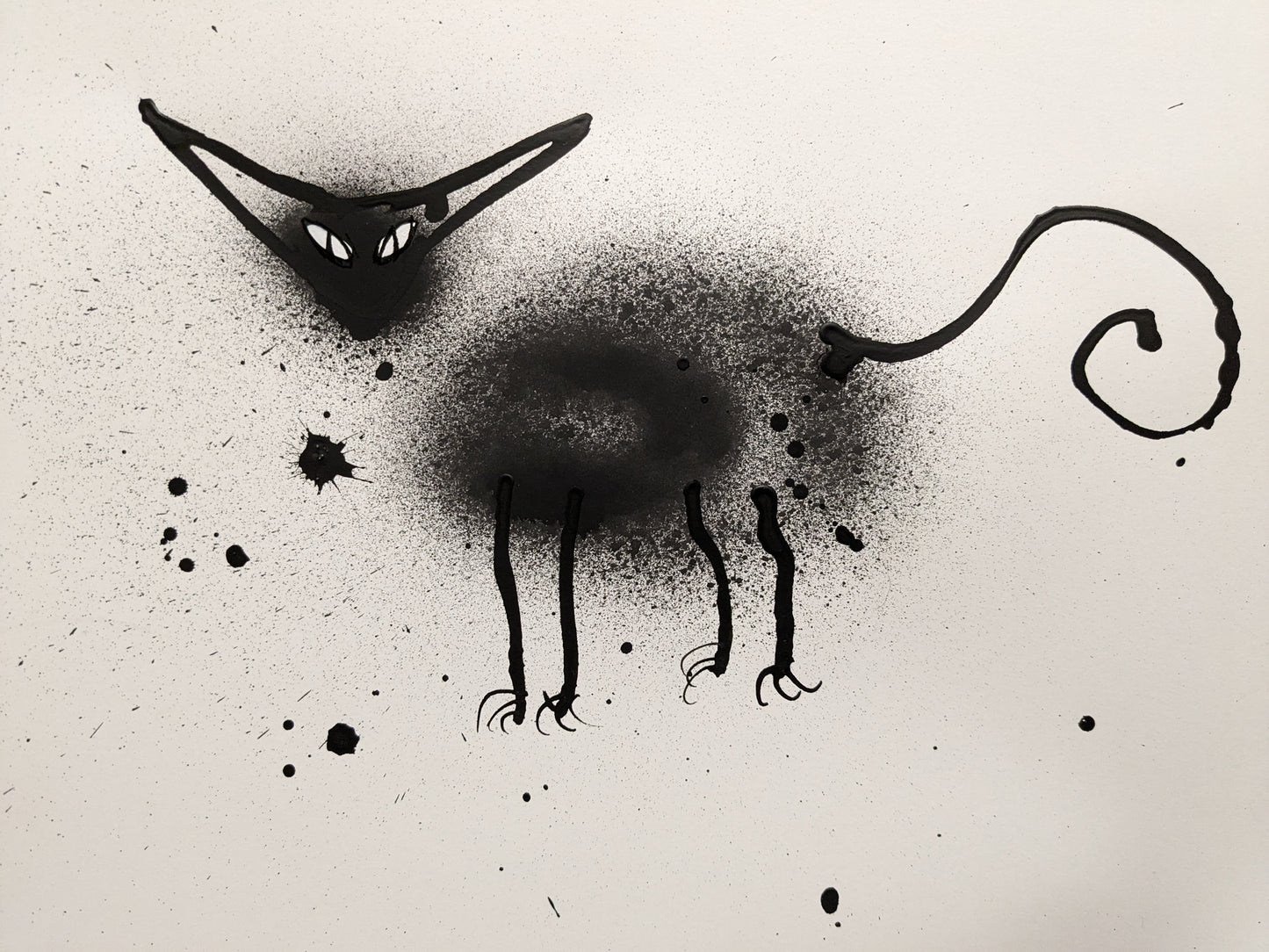 BLACK CAT drawings