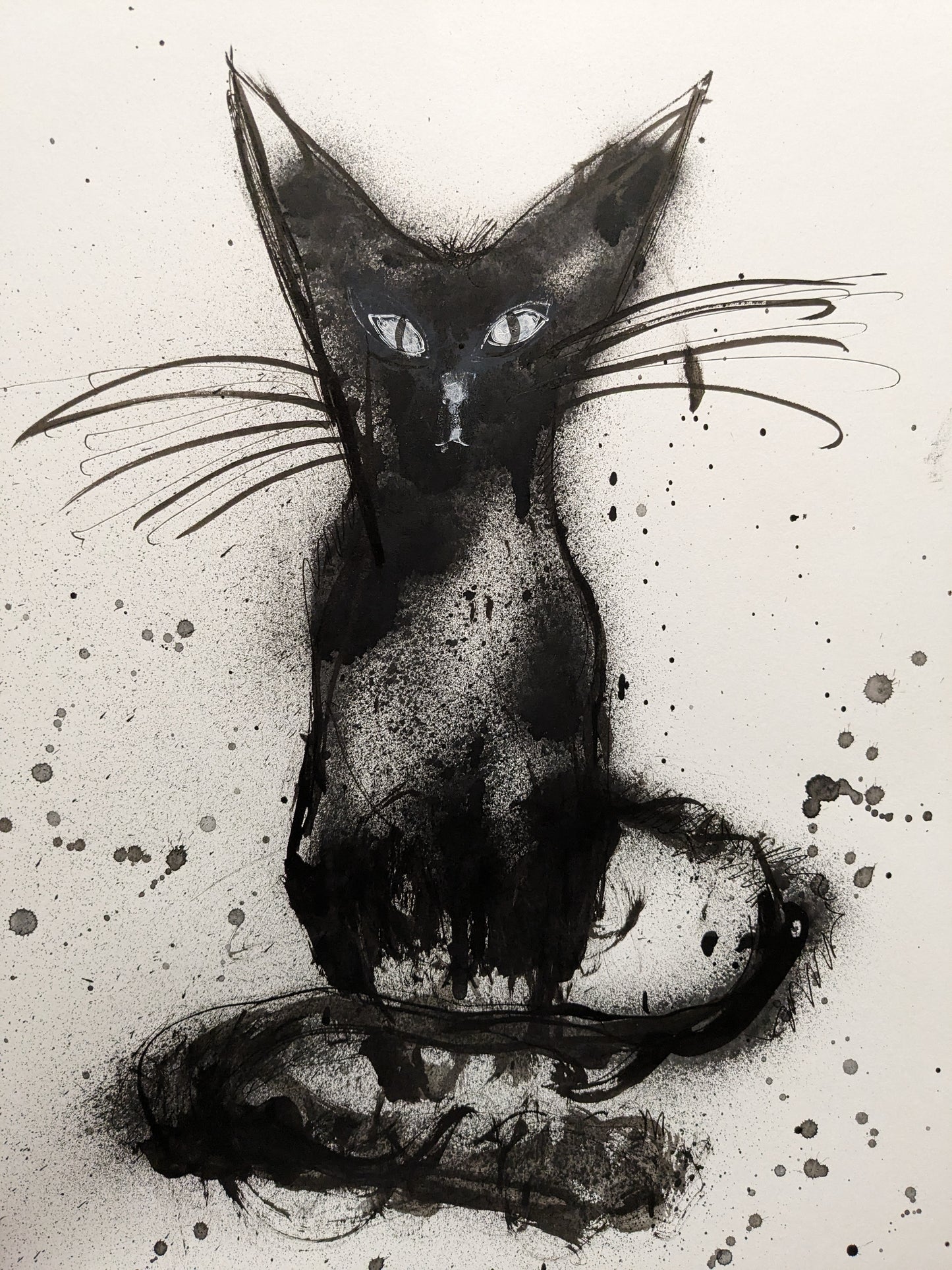 BLACK CAT 11.7" x 16.5"