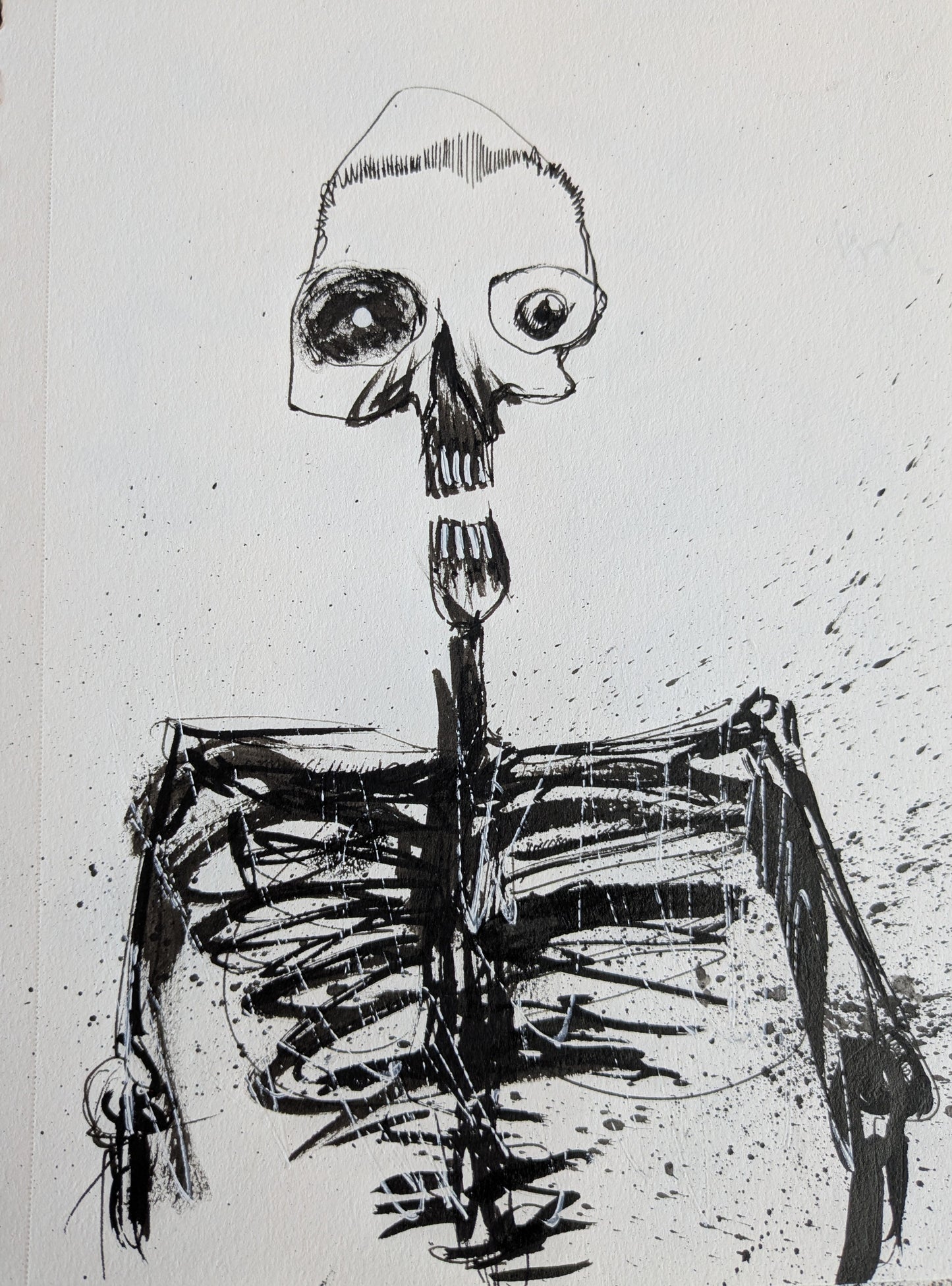 CALAVERA