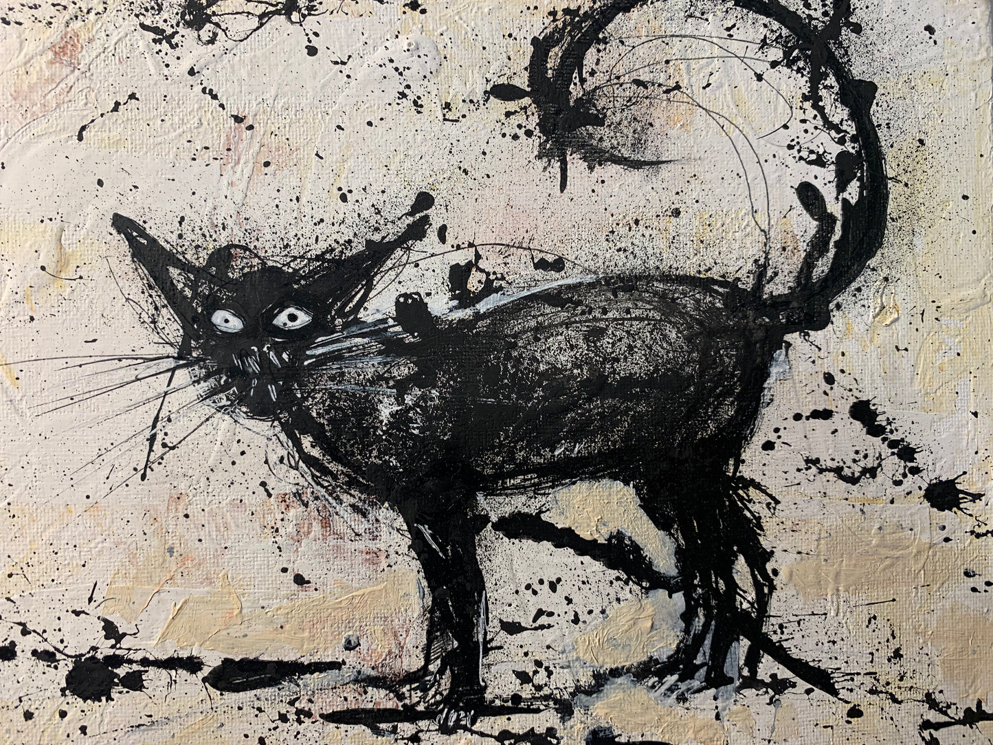 EXPRESSIVE CAT, 10X8 CANVAS
