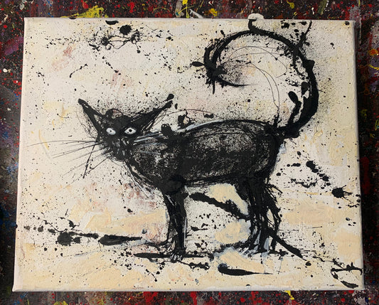 EXPRESSIVE CAT, 10X8 CANVAS