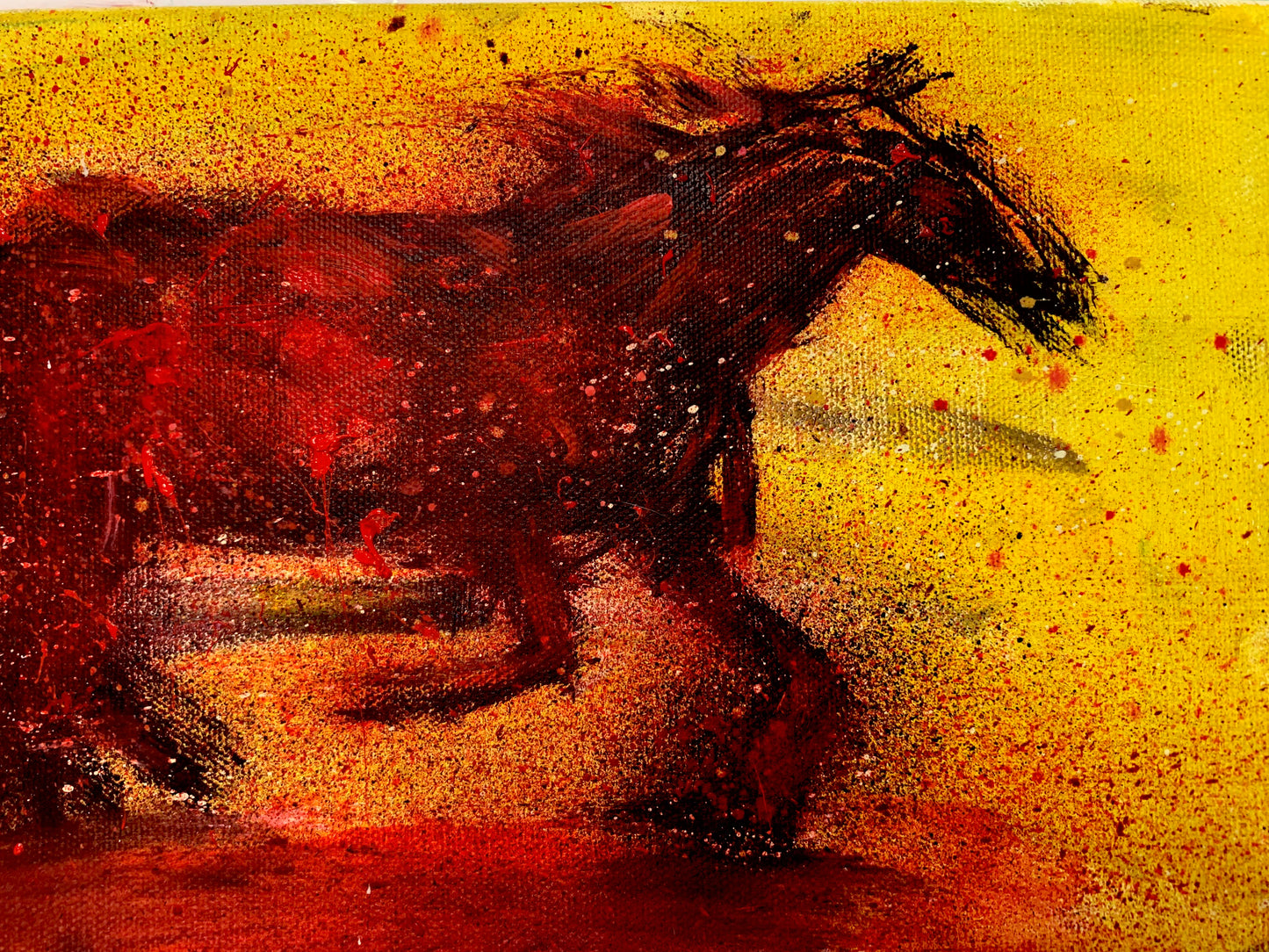 Horse, 14x7 canvas