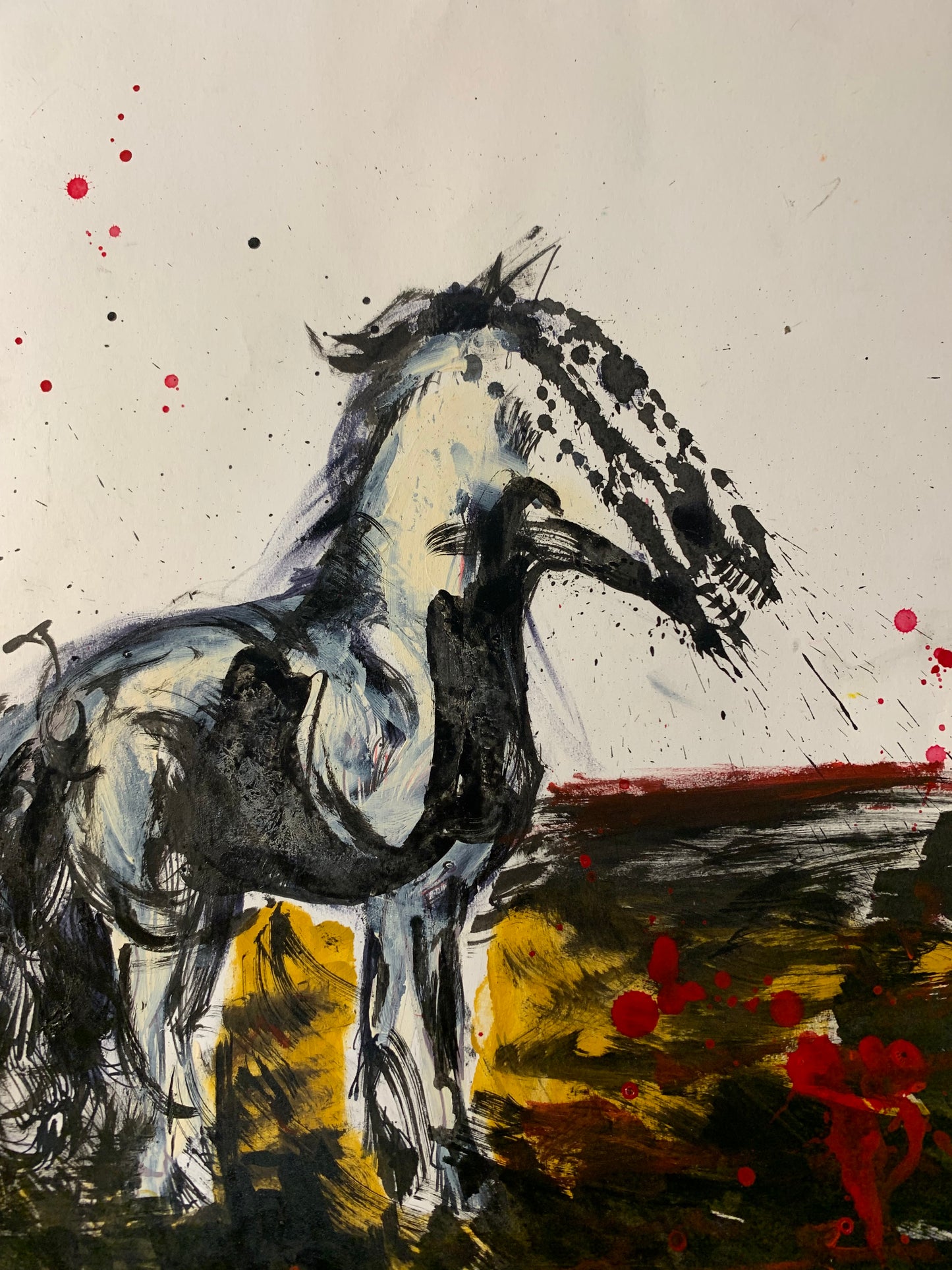 Pony