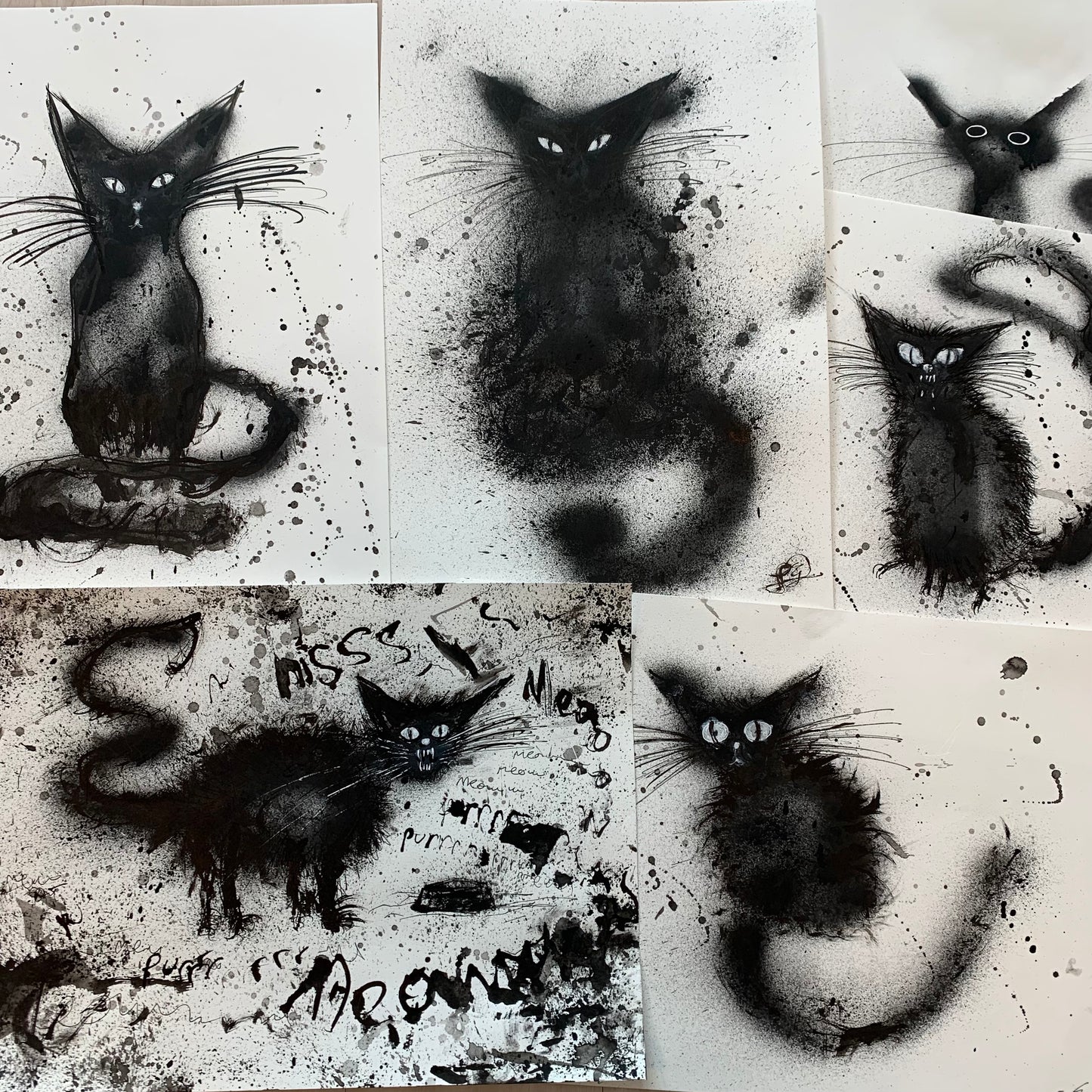 BLACK CAT larger drawings