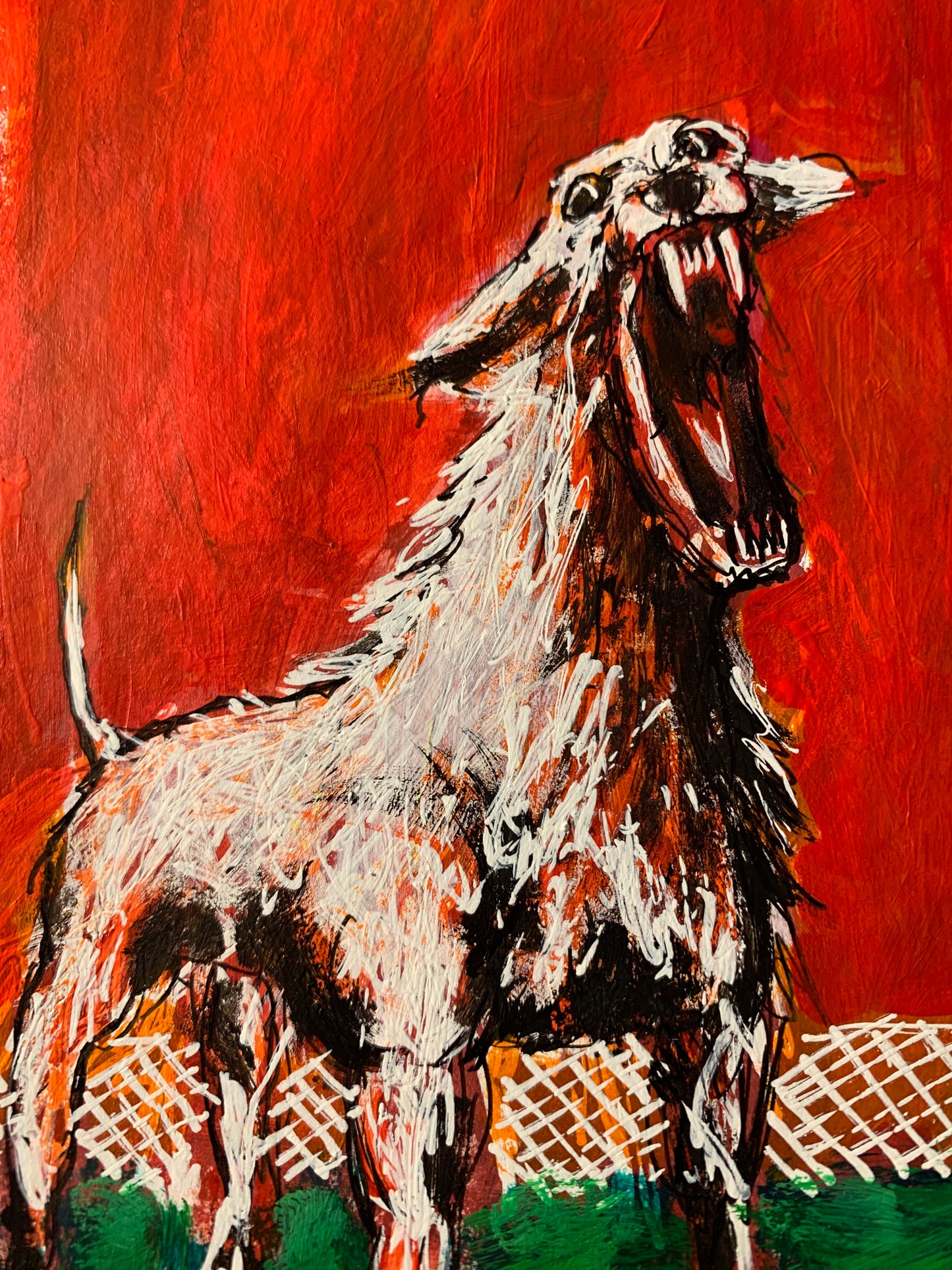 Perro