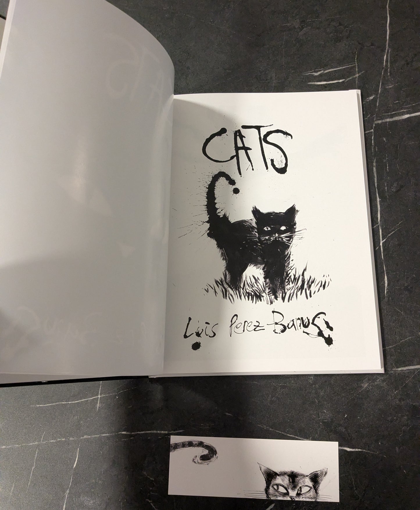CATS BUNDLE w/ ink sketch
