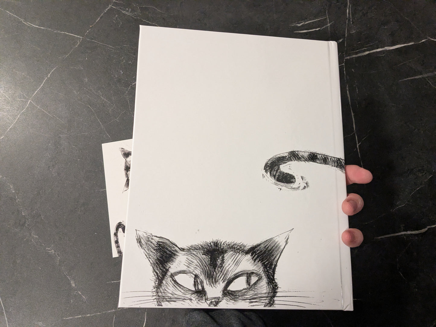 CATS BUNDLE w/ ink sketch