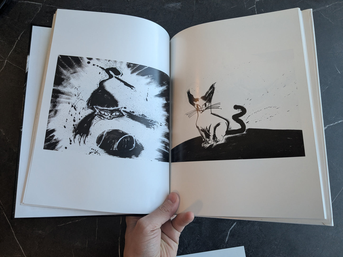 CATS BUNDLE w/ ink sketch