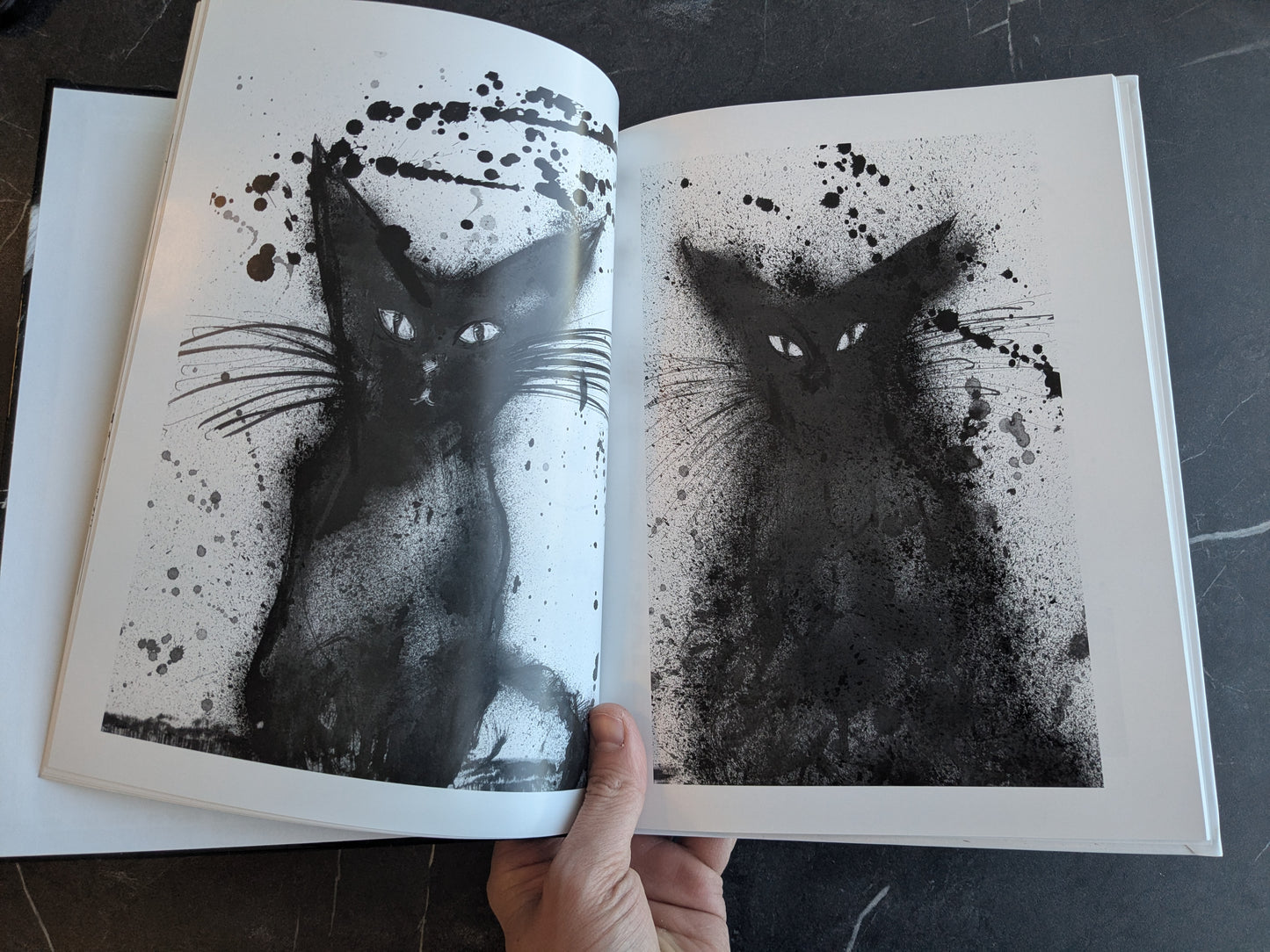 CATS BUNDLE w/ ink sketch