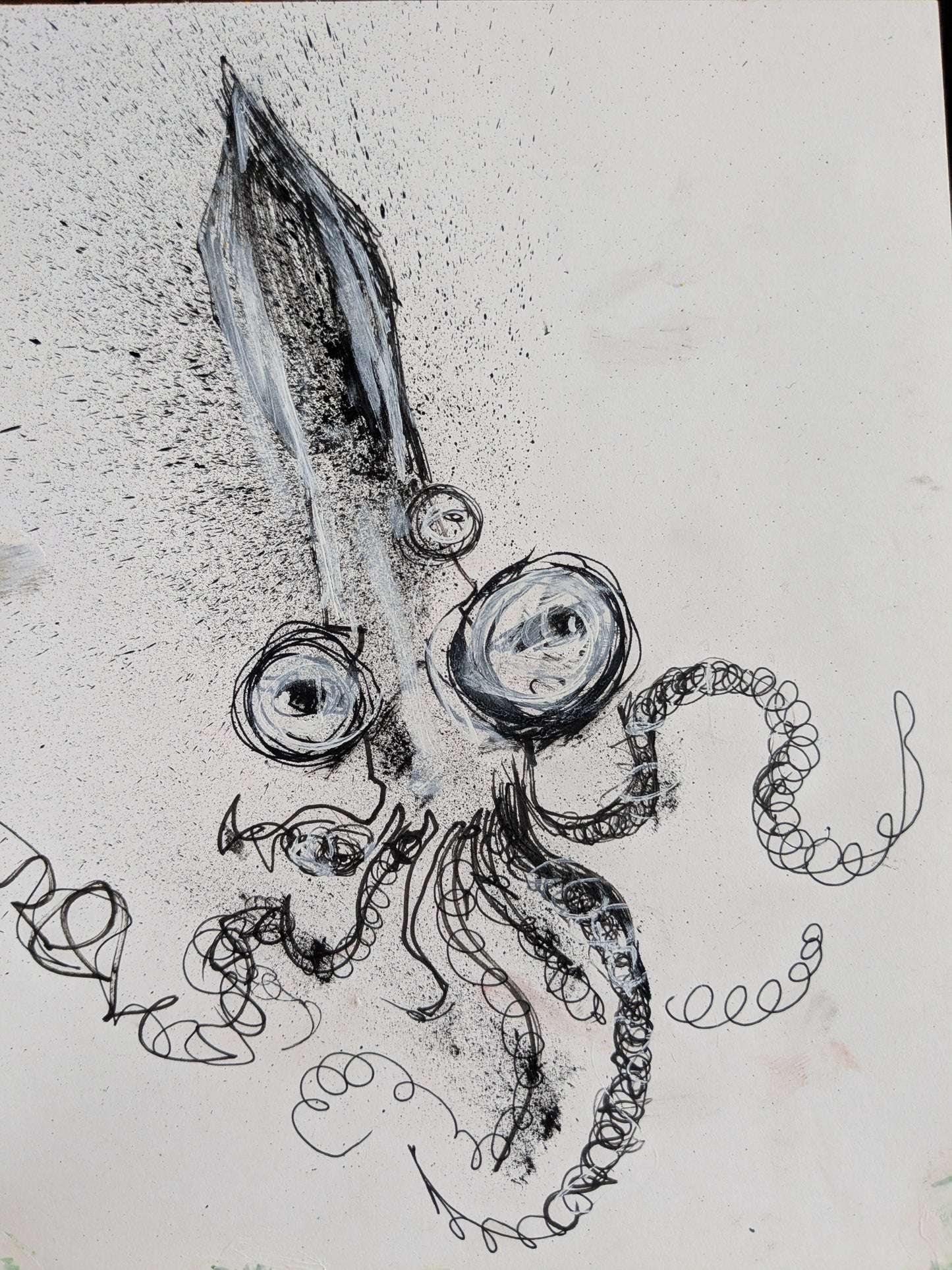 Squid