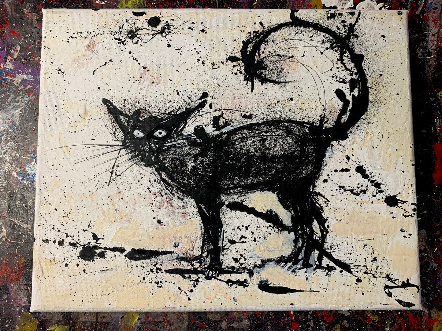 EXPRESSIVE CAT, 10X8 CANVAS
