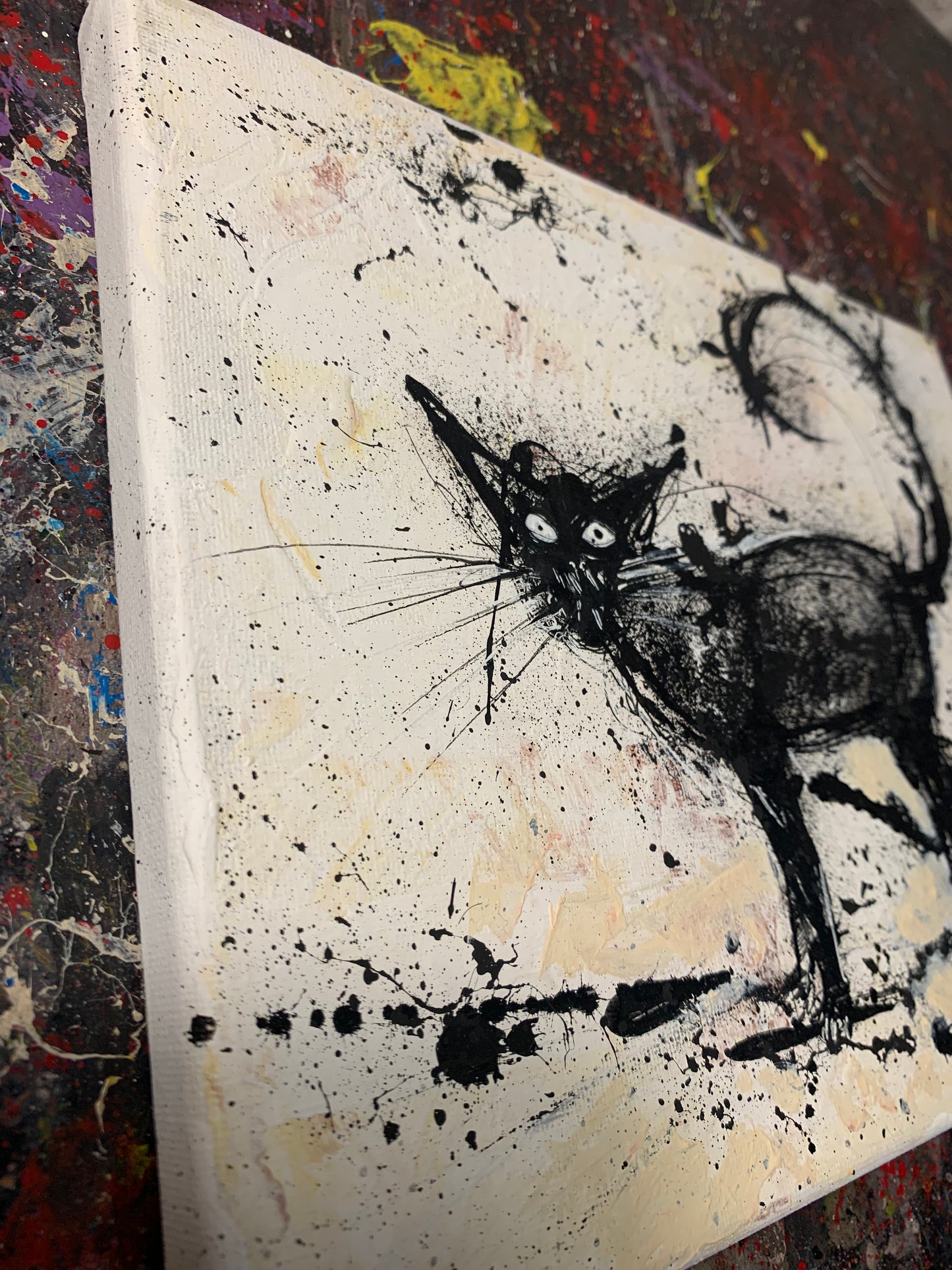 EXPRESSIVE CAT, 10X8 CANVAS